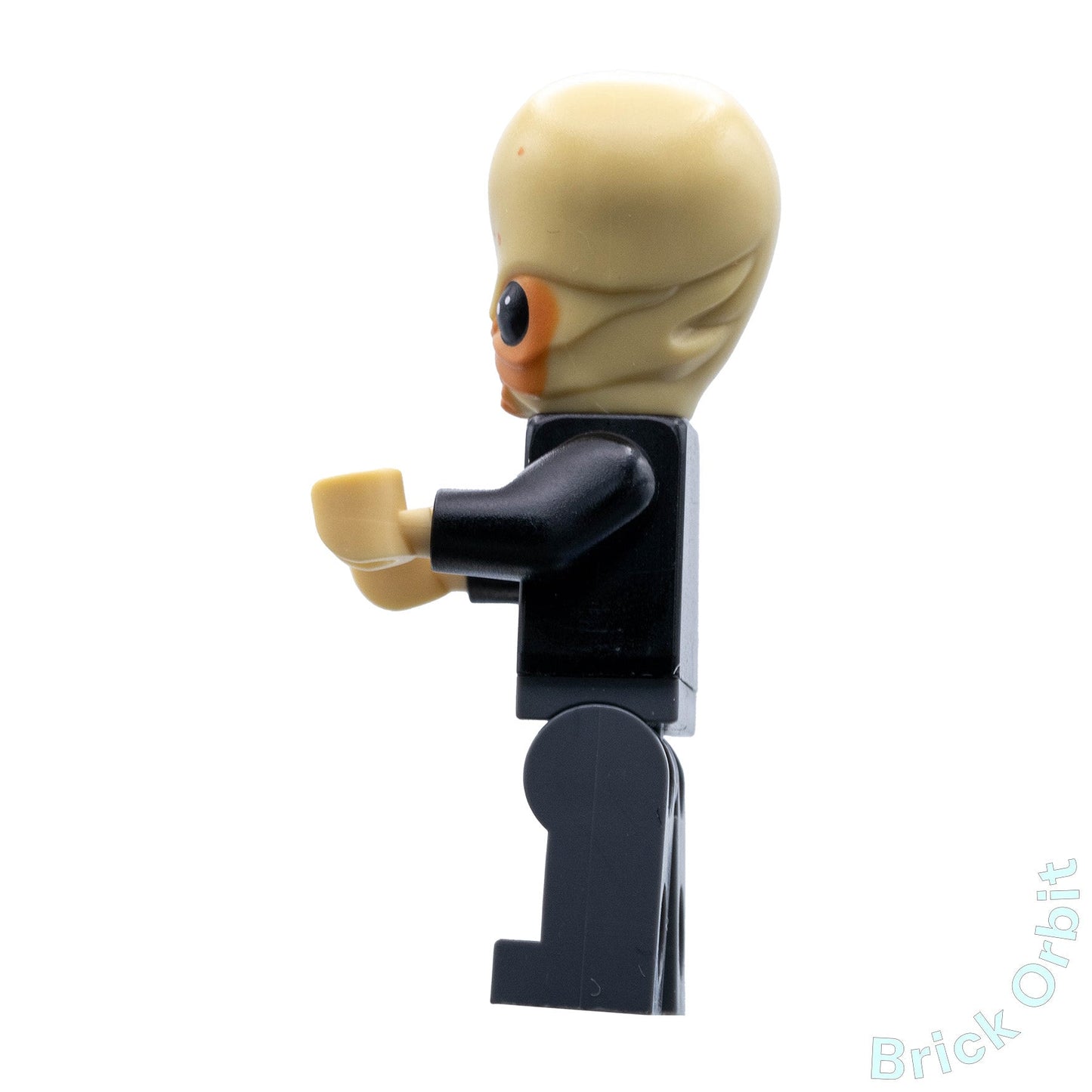 Genuine BITH MUSICIAN (sw0554) - Star Wars - Used LEGO® Minifigure - Product Image from Brick Orbit