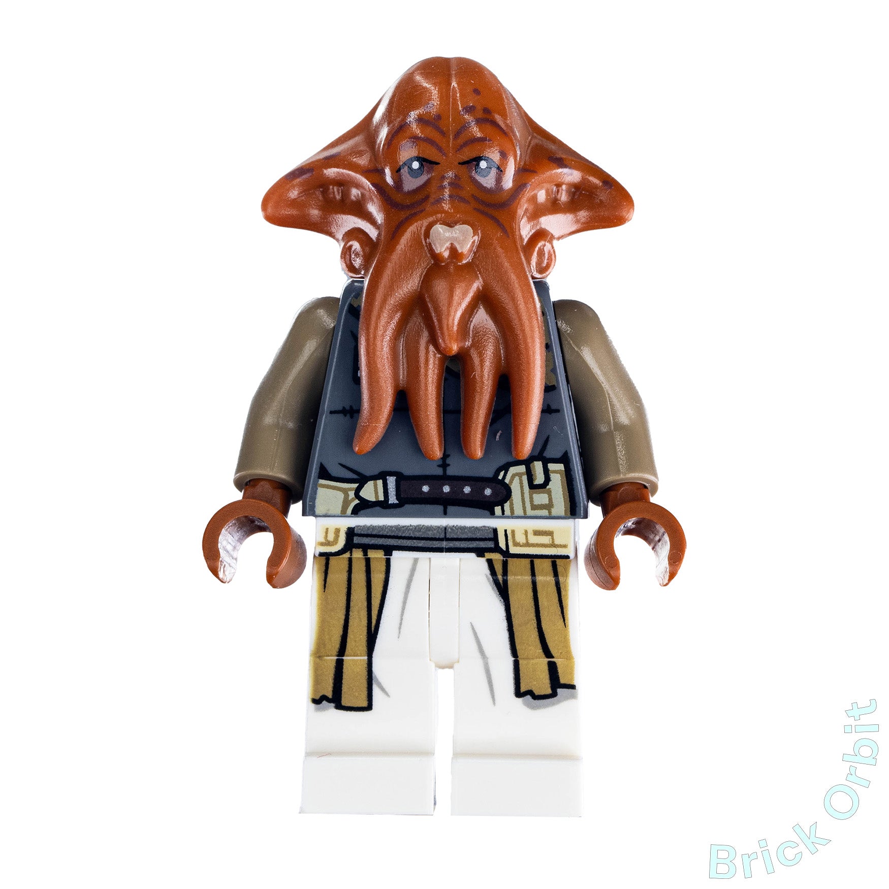Genuine QUARREN (sw1195) - Star Wars - Used LEGO® Minifigure from set 75326 - 1 - Product Image from Brick Orbit