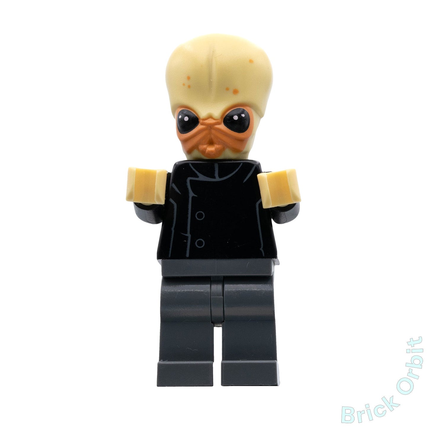Genuine BITH MUSICIAN (sw0554) - Star Wars - Used LEGO® Minifigure - Product Image from Brick Orbit