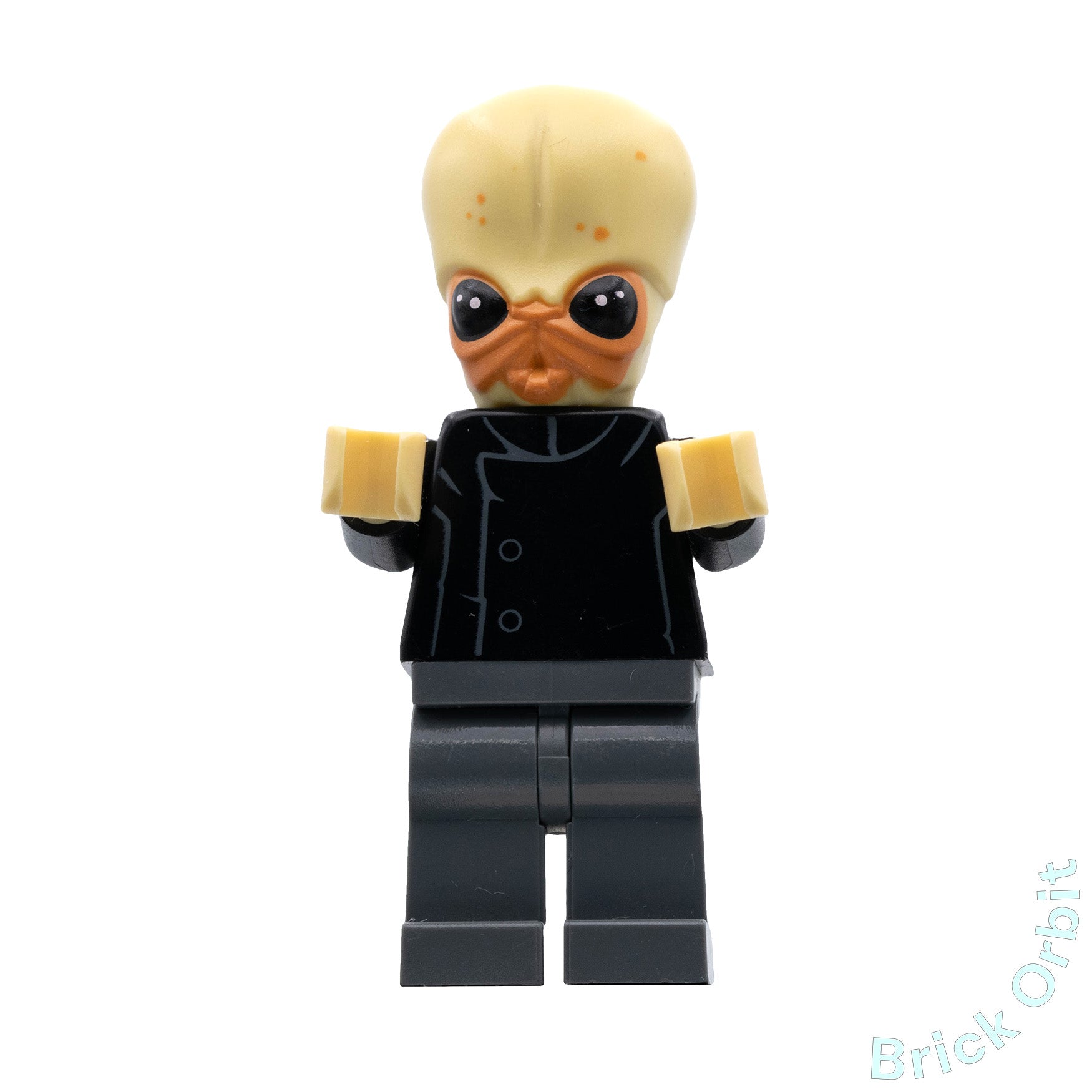 Genuine BITH MUSICIAN (sw0554) - Star Wars - Used LEGO® Minifigure - Product Image from Brick Orbit