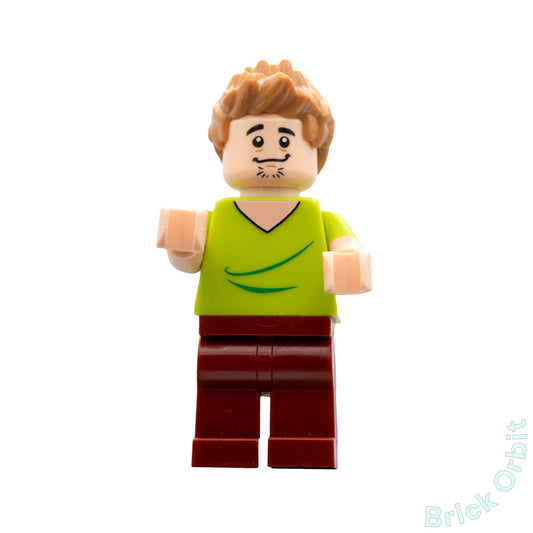 Genuine SHAGGY ROGERS (scd001) - Dimensions/Scooby-Doo - Used LEGO® Minifigure - Product Image from Brick Orbit