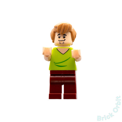 Genuine SHAGGY ROGERS (scd001) - Dimensions Scooby-Doo - Used LEGO® Minifigure - Product Image from Brick Orbit